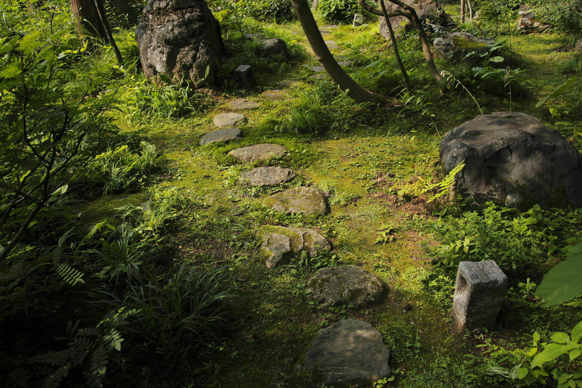 Ichirino Kogen Hotel Roan Hakusan Exteriör bild