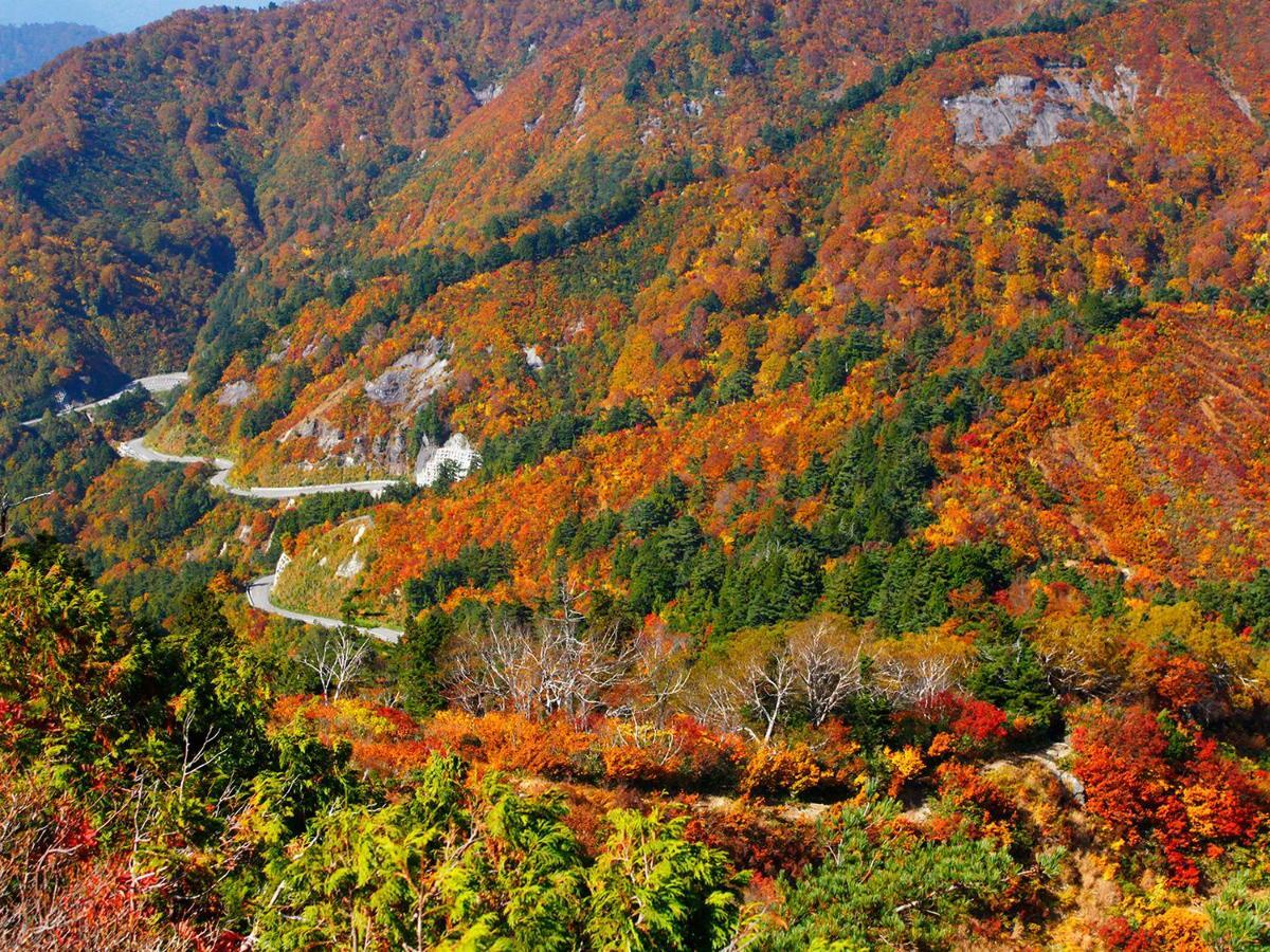 Ichirino Kogen Hotel Roan Hakusan Exteriör bild